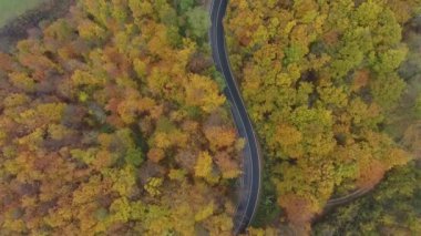 Ormandan yola hava manzarası, sonbahar sezonu, güzel renkli manzara.