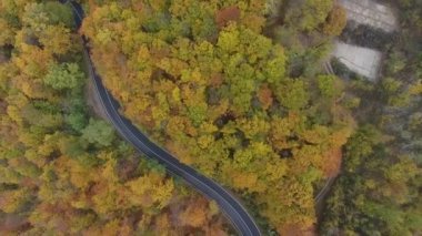 Ormandan yola hava manzarası, sonbahar sezonu, güzel renkli manzara.