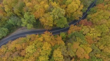 Ormandan yola hava manzarası, sonbahar sezonu, güzel renkli manzara.