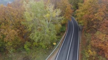 Ormandan yola hava manzarası, sonbahar sezonu, güzel renkli manzara.