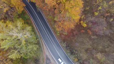 Ormandan yola hava manzarası, sonbahar sezonu, güzel renkli manzara.