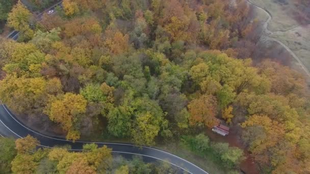 Ormandan Yola Hava Manzarası Sonbahar Sezonu Güzel Renkli Manzara — Stok video