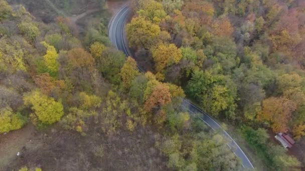 Ormandan Yola Hava Manzarası Sonbahar Sezonu Güzel Renkli Manzara — Stok video