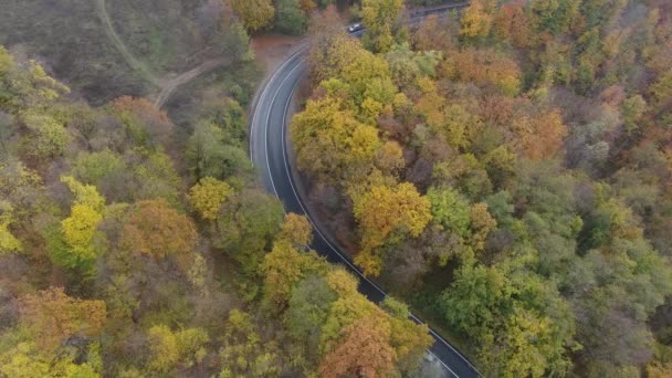 가을철 아름다운 풍경을 — 비디오