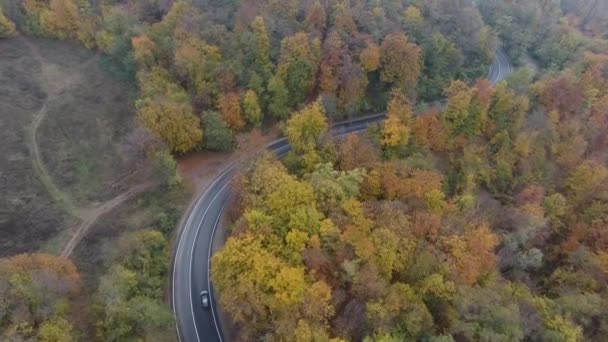 Letecký Pohled Cestu Lesa Podzimní Sezóna Krásná Barevná Krajina — Stock video