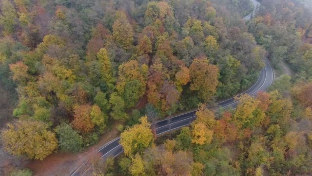 Luftaufnahme Der Straße Aus Dem Wald Herbstsaison Schöne Bunte Landschaft — Stockvideo