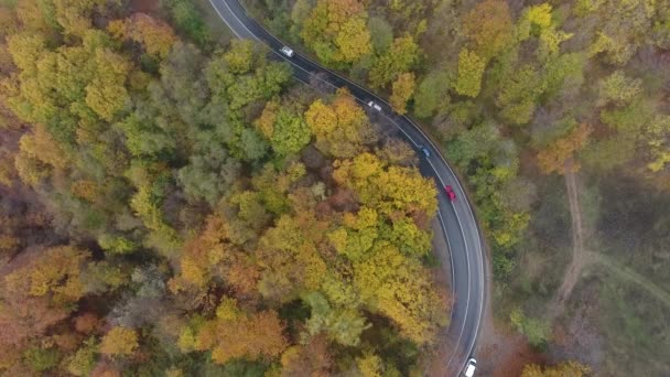 Letecký Pohled Cestu Lesa Podzimní Sezóna Krásná Barevná Krajina — Stock video