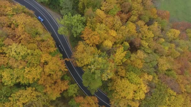 Luftaufnahme Der Straße Aus Dem Wald Herbstsaison Schöne Bunte Landschaft — Stockvideo