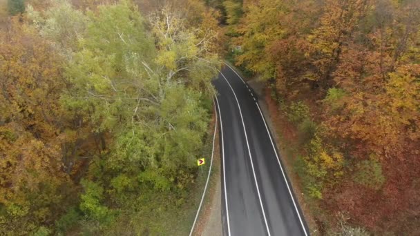 Luftaufnahme Der Straße Aus Dem Wald Herbstsaison Schöne Bunte Landschaft — Stockvideo