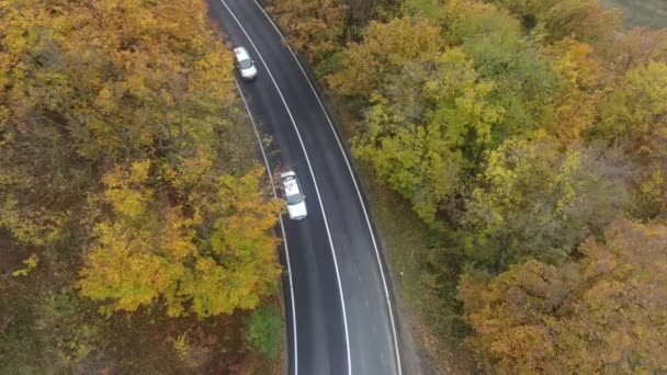 Luchtfoto Van Weg Uit Het Bos Herfst Seizoen Prachtige Kleurrijke — Stockvideo