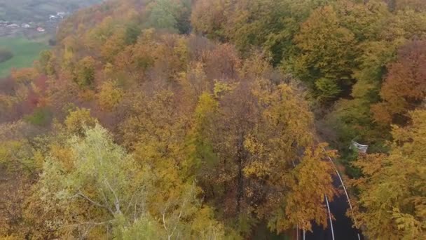 Flygfoto Väg Från Skogen Höstsäsong Vackra Färgglada Landskap — Stockvideo