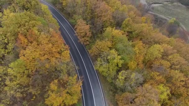 Αεροφωτογραφία Του Δρόμου Από Δάσος Φθινοπωρινή Εποχή Όμορφο Πολύχρωμο Τοπίο — Αρχείο Βίντεο