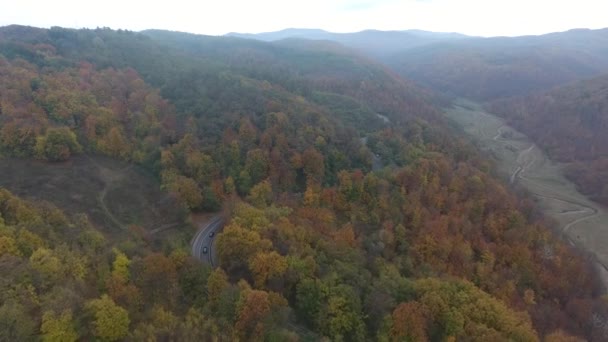秋の季節からの道路の空中ビュー 美しいカラフルな風景 — ストック動画