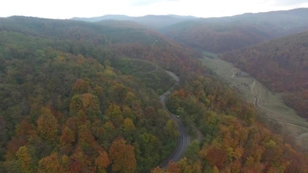Vista Aérea Carretera Desde Bosque Temporada Otoño Hermoso Paisaje Colorido — Vídeo de stock
