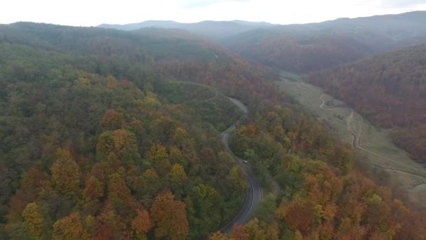 Luftaufnahme Der Straße Aus Dem Wald Herbstsaison Schöne Bunte Landschaft — Stockvideo