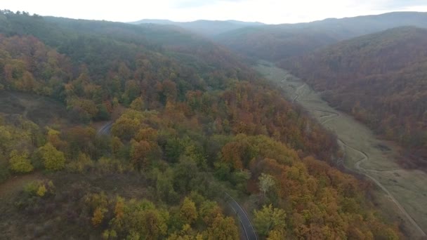 Ormandan Yola Hava Manzarası Sonbahar Sezonu Güzel Renkli Manzara — Stok video