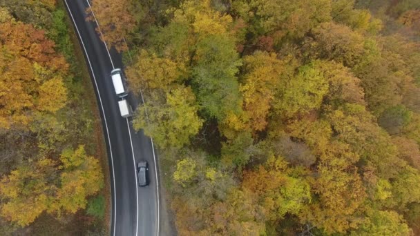 Letecký pohled na cestu z lesa, podzimní sezóna, krásná barevná krajina