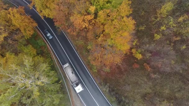 Luftaufnahme Der Straße Aus Dem Wald Herbstsaison Schöne Bunte Landschaft — Stockvideo