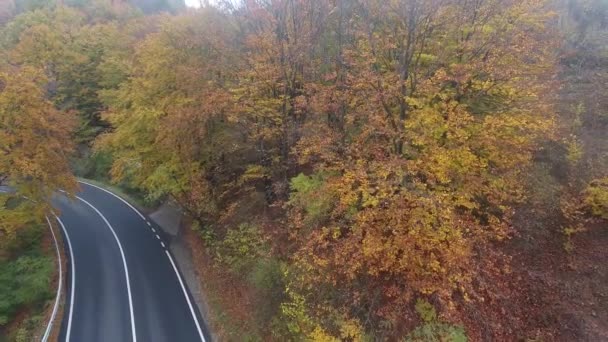 Luftaufnahme Der Straße Aus Dem Wald Herbstsaison Schöne Bunte Landschaft — Stockvideo