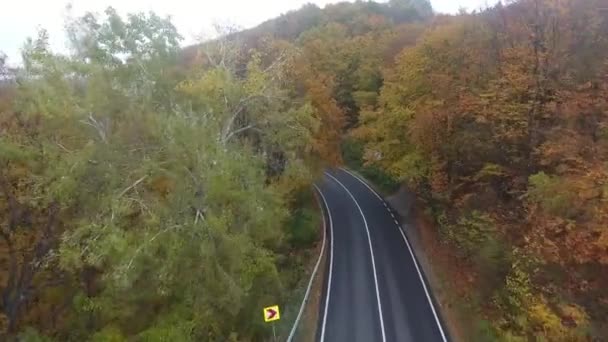 Vista Aérea Carretera Desde Bosque Temporada Otoño Hermoso Paisaje Colorido — Vídeo de stock