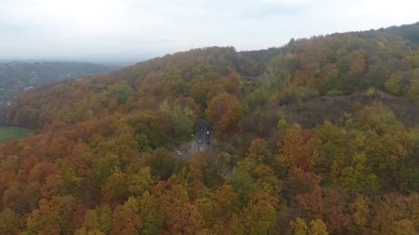 Vista Aérea Carretera Desde Bosque Temporada Otoño Hermoso Paisaje Colorido — Vídeo de stock