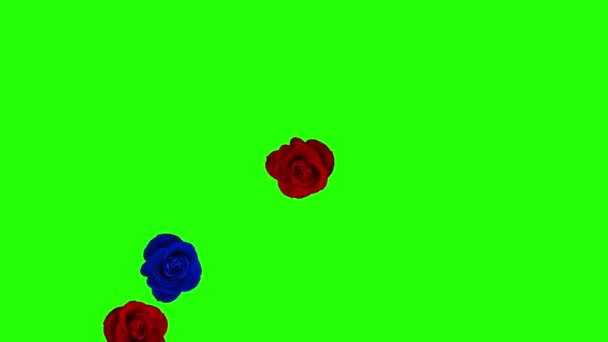 Group Colored Roses Spinning Moving Green Screen Transition — Stock Video