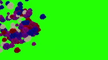group of flower bloom animation on green screen 