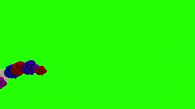 group of flower bloom animation on green screen 