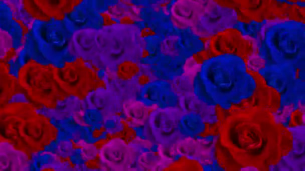 Fond Fleurs Roses Animation — Video