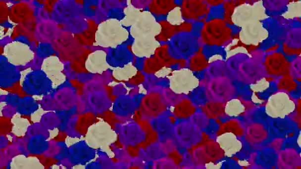 Tło Kwiatów Róż Animacji — Wideo stockowe