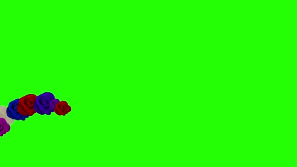 Group Flower Bloom Animation Green Screen — Stock Video