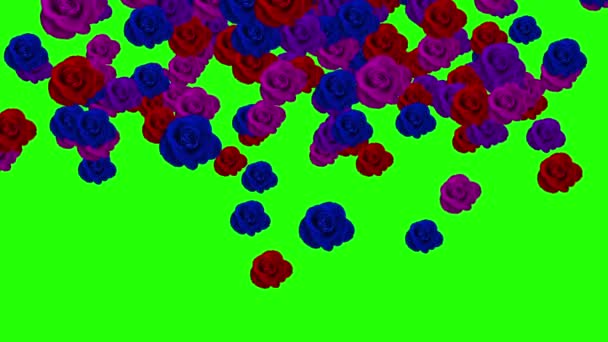 Group Flower Bloom Animation Green Screen — Stockvideo