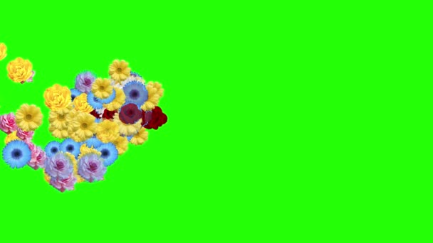 Group Flower Bloom Animation Green Screen — Stok video