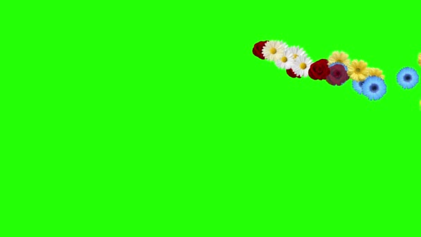Group Flower Bloom Animation Green Screen — Stock Video © jhnbnk #330523602 Group Flower Bloom Animation Green Screen — Stock Video © jhnbnk #330523602