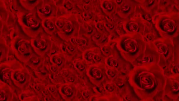 Фон Квітучої Анімації Троянд — стокове відео