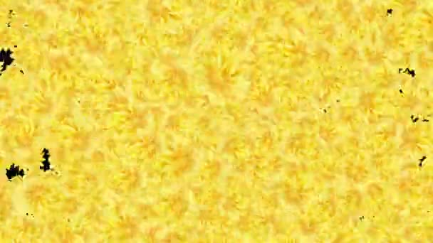 Flores Amarelas Fundo Animação — Vídeo de Stock