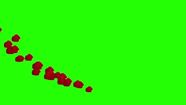Animace Okvětních Lístků Růží Zelené Obrazovce Upravitelná Klávesa Chroma Pro — Stock video