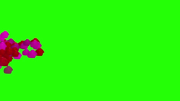 緑の画面で花びらのアニメーションをバラ 編集者のための編集可能なクロマキー — ストック動画