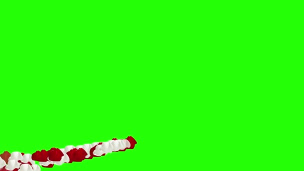 Rose Petals Animation Green Screen Editable Chroma Key Editors — Stock Video