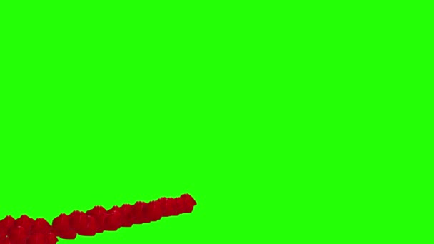 Rosenblütenanimation Auf Grünem Bildschirm Editierbare Chroma Taste Für Redakteure — Stockvideo