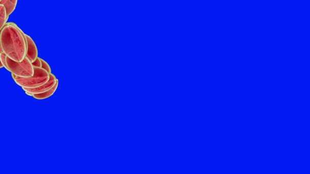 Grupo Melões Fatiados Animação Transição Tela Azul Croma Chave — Vídeo de Stock