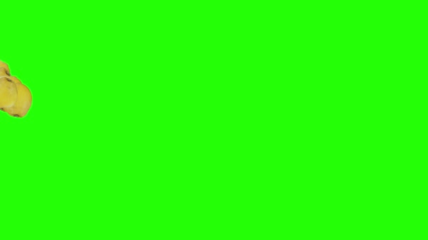 Gruppo Limoni Che Cade Animazione Transizione Tasto Cromatico Schermo Verde — Video Stock