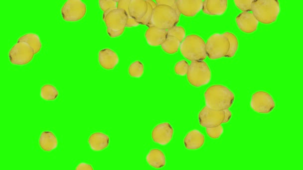 Grupo Limones Caída Animación Pantalla Verde Croma Clave — Vídeo de stock