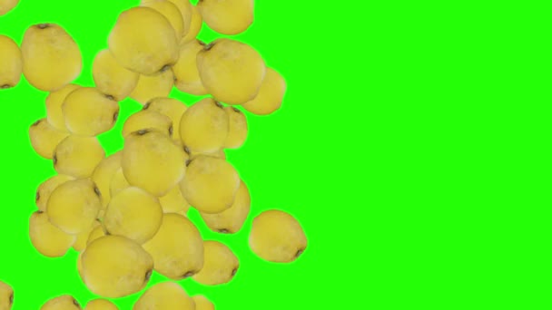 Zitronen Gruppe Fallen Übergang Animation Grünen Bildschirm Chroma Taste — Stockvideo