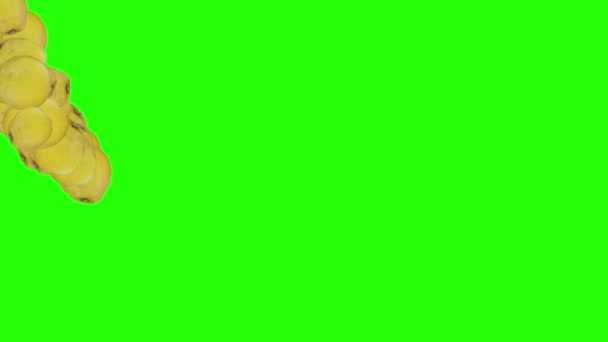 Lemons Group Falling Transition Animation Green Screen Chroma Key — 비디오