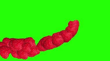 Raspberryes grubu meyve animasyon geçiş yeşil ekran kroma anahtarı