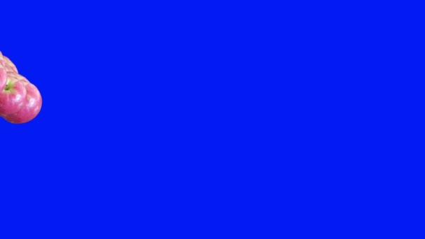 Apple Group Fruits Animation Transition Blue Screen Chroma Key — Stock Video