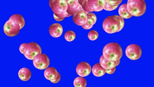 Pomme groupe fruits animation transition sur écran bleu chroma clé 