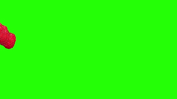 ラズベリーグループフルーツアニメーション遷移緑の画面クロマキー — ストック動画