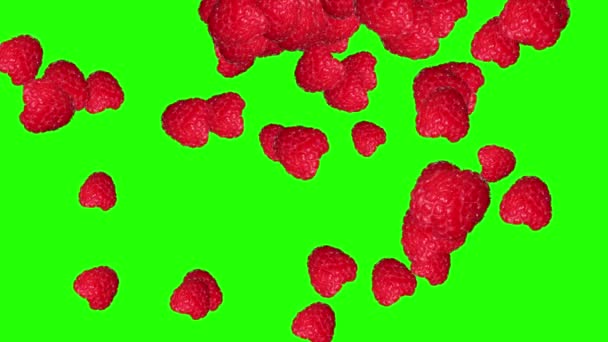 Raspberryes Group Fruits Animation Transition Green Screen Chroma Key — Stock Video